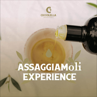 Thumbnail Professional olive oil tasting experience at Frantoio Ciccolella
