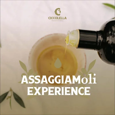 Thumbnail Cata profesional de aceite de oliva en Frantoio Ciccolella