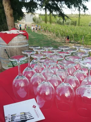 Thumbnail Wine tour e degustazione di vino presso Azienda Agricola La Cignozza