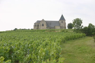 Thumbnail Private Full day Champagne Wine Tour from Reims or Epernay