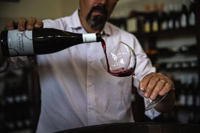 Thumbnail Paseo por los viñedos, visita a la bodega y cata de vinos en La Marmocchia