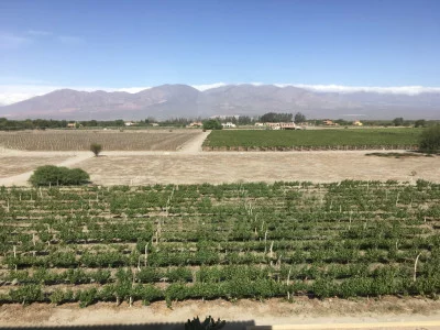 Thumbnail Full day high-altitude wine tour in Cafayate