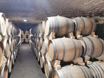 Thumbnail Full-day Southern Burgundy Wine tour from Lyon or Mâcon