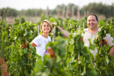 Thumbnail Ibleo tasting: Walk in the vineyards, tour and wine tasting at Tenuta Bastonaca