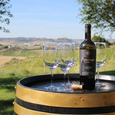 Thumbnail Wine tasting experience at Bodegas Comenge in Ribera del Duero