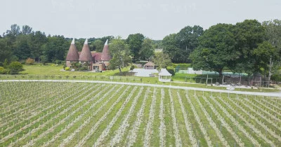 Thumbnail Visita a los viñedos de los propietarios en Oastbrook Estate, en el corazón de Sussex