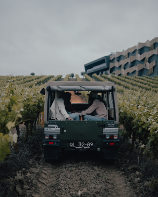 Thumbnail Vineyard Jeep Adventure & Wine tasting at Quinta da Almiara