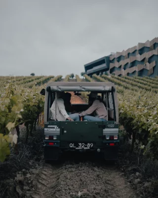 Thumbnail Aventura en Jeep por viñedos y cata de vinos en Quinta da Almiara
