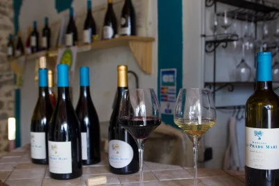Thumbnail Experiencia de cata de vinos ecológicos en el Domaine La Prade Mari