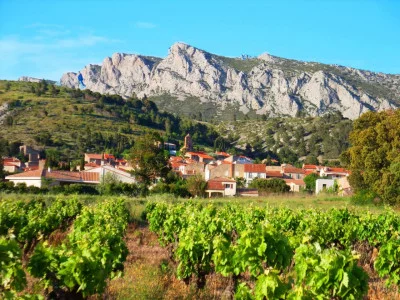 Thumbnail Experiencia de cata de vinos naturales en el Domaine Vents du Sud