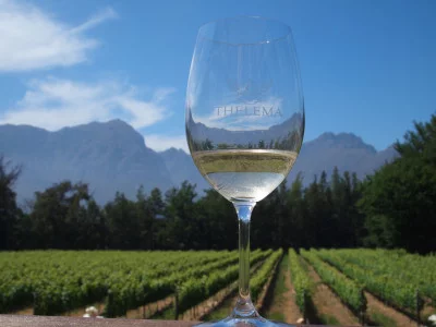 Thumbnail Curated Private Wine Tour to Cape Winelands