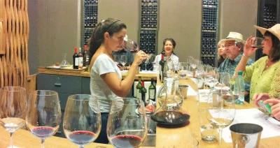 Thumbnail Tour Privado del Vino de Luján de Cuyo desde la ciudad de Mendoza