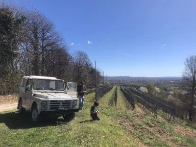 Thumbnail Sceneries and flavors: Jeep Tour & Wine Tasting at Terre del Creario