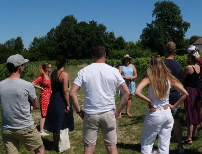 Thumbnail Experiencia inmersiva de viticultor: Visita al viñedo, visita a la bodega y cata de vinos en Château la Levrette