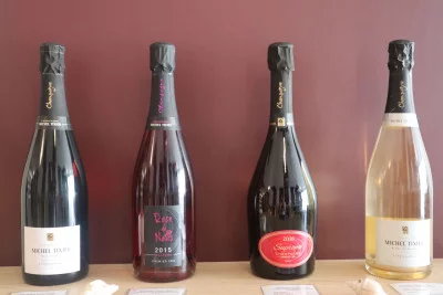 Thumbnail Visita a la bodega y experiencia de cata de vinos en el Champagne Michel Tixier