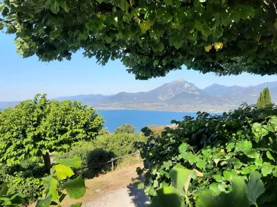 Thumbnail Lake Garda Wine Tour: Bardolino and Chiaretto