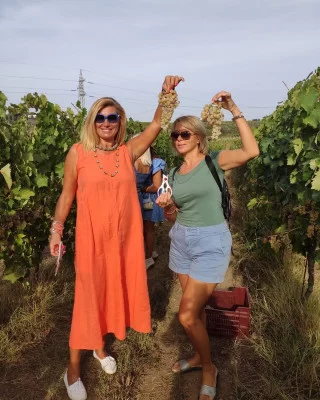 Thumbnail Cata de vinos romanos y visita a una bodega en Frascati