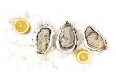 Thumbnail Aquatic Symphony: Oyster Harvest and Michelin-Starred Delights with Chef João Oliveira