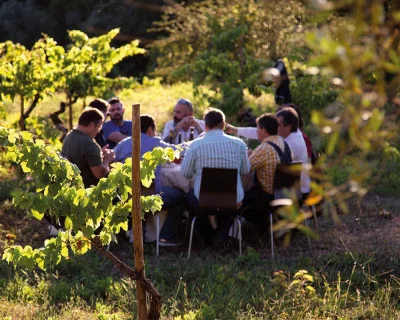Thumbnail Lunch or Dinner in the Centenary Vineyard at Prior Lucas