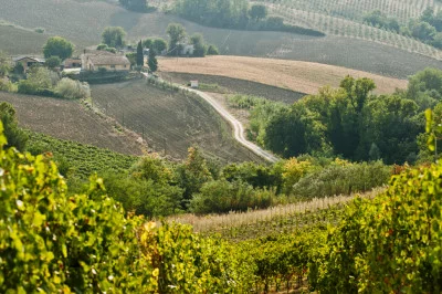Thumbnail Degustazione di vini nella Terrazza panoramica della Cantina Brunori
