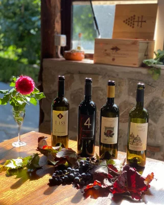 Thumbnail Cata de vinos y visita a la Tenuta San Francesco en la Costa Amalfitana