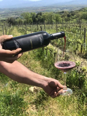 Thumbnail Tuscany Wine Tasting: taste and tradition at Gramineta Winery