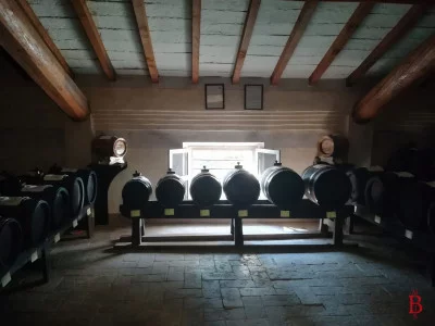 Thumbnail Tour and tasting at the Museum of Traditional Balsamic Vinegar of Modena