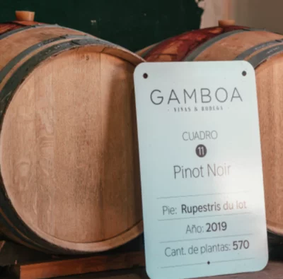 Thumbnail Private wine tour & tasting at Gamboa Winery with luxury lunch