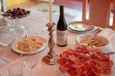 Thumbnail Visita al viñedo y a la villa del siglo XVIII y comida o cena con vino en Pandolfa