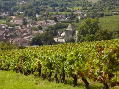 Thumbnail for Wine Tour della Borgogna da Beaune: 2 giorni, 1 notte in un hotel 4*