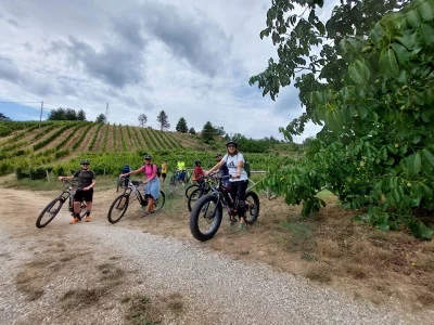Thumbnail Wine & Food Experience in E-bike on Mount Sila
