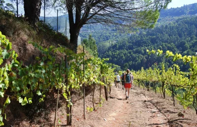 Thumbnail Visita y cata de vinos de Quinta de Escomoeiras