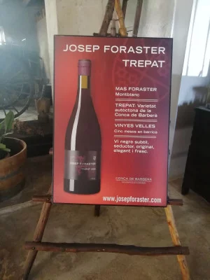Thumbnail Trepat wine tasting experience at Josep Foraster
