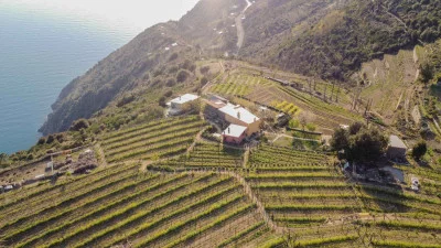 Thumbnail Tour e degustazione di vini con vista sul mare delle Cinque Terre a Stella di Lemmen