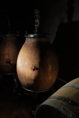 Thumbnail Ánfora y tiza: los vinos únicos de Le Sode di Sant'Angelo