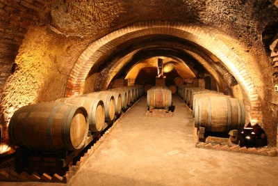 Thumbnail Der Mund des Vulkans: Weinprobe in der Cantine del Notaio