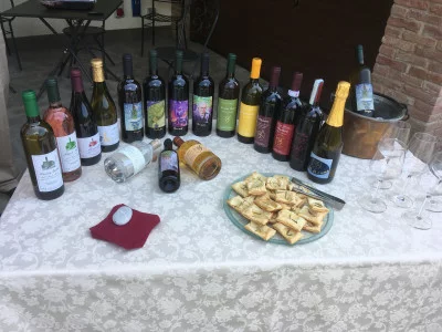 Thumbnail Cata de vinos de descubrimiento del Oltrepò Pavese en la Bodega Antonio Dellabianca