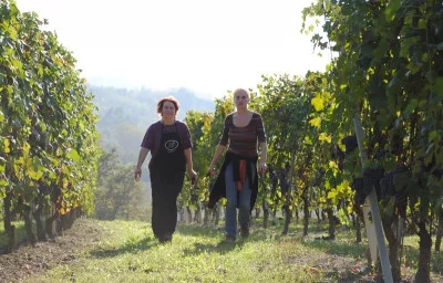 Thumbnail Winemaker Experience at Virna Borgogno in Barolo
