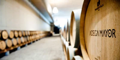 Thumbnail Weinprobe und Olivenölverkostung im Alentejo