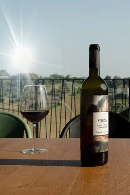 Thumbnail Piceno Terroir & Elisir Wine Tasting at Vigneti Vallorani
