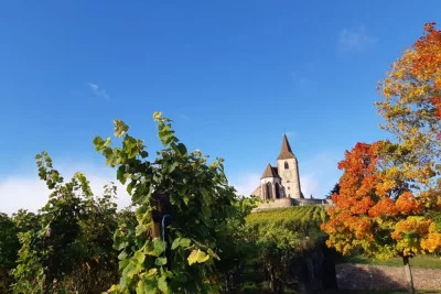 Thumbnail Excursión de medio día desde Colmar: Visita a 2 pueblos y visita a bodegas y cata de vinos en la Ruta del Vino de Alsacia