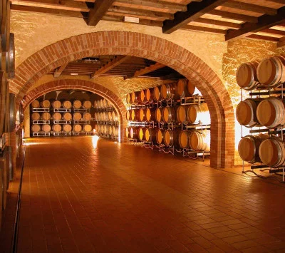 Thumbnail Wine tasting experience at Lenotti Winery on the shores of Lake Garda