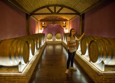 Thumbnail Dégustation de vin d'Alicante: Découvre le cépage Monastrell