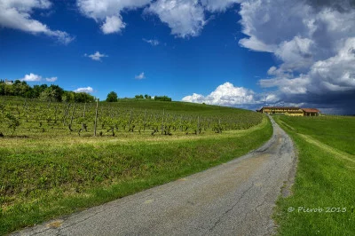 Thumbnail for Winery and vineyard tours to discover Cascina Fietta