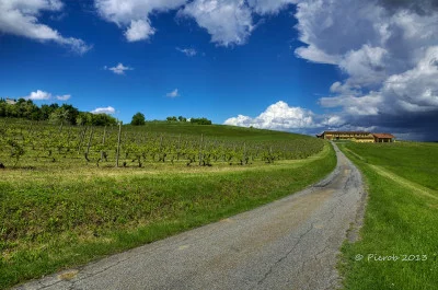 Thumbnail for Weinrechtsvorlesung und Unterricht in den Weinbergen und im Keller der Cascina Fietta