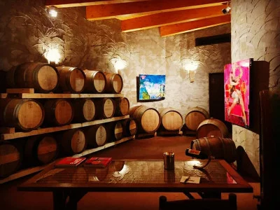 Thumbnail for Casentino Classic Wine tasting experience en la Bodega Ornina