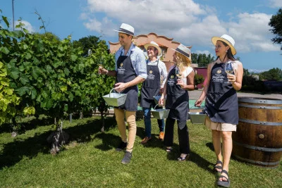 Thumbnail Bienvenido a la cata de vinos en familia de la Bodega Hinojosa