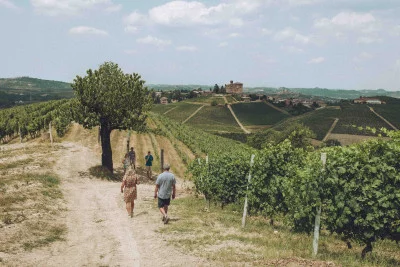 Thumbnail Barolo Weinprobe auf dem Weingut Camparo in Langhe