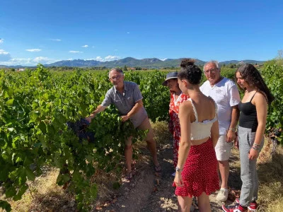 Thumbnail Paseo didáctico por los viñedos y cata de vinos en el Domaine de Mas Caron