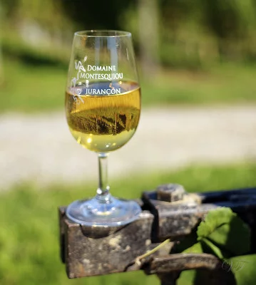 Thumbnail for Discovering Jurançon at Domaine Montesquiou: Organic Vineyard tour & Wine tasting experience